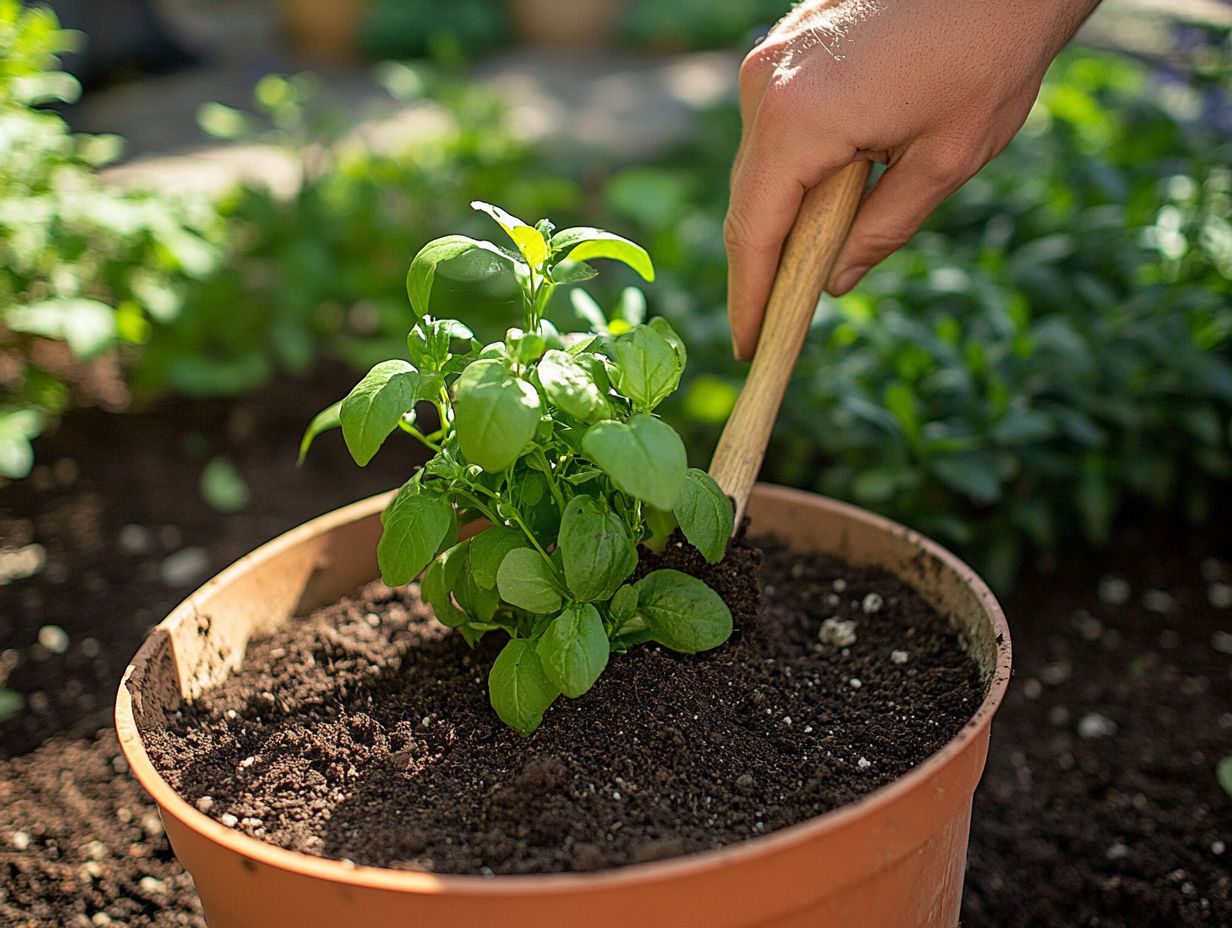 Tips to prevent soil compaction in potted plants